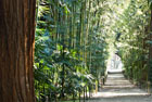 Francijas bambusu dārzu
