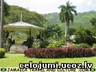 jamaikas botāniskais dārzs